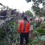 Rumah Tertimpa Pohon di Salawu Kabupaten Tasikmalaya