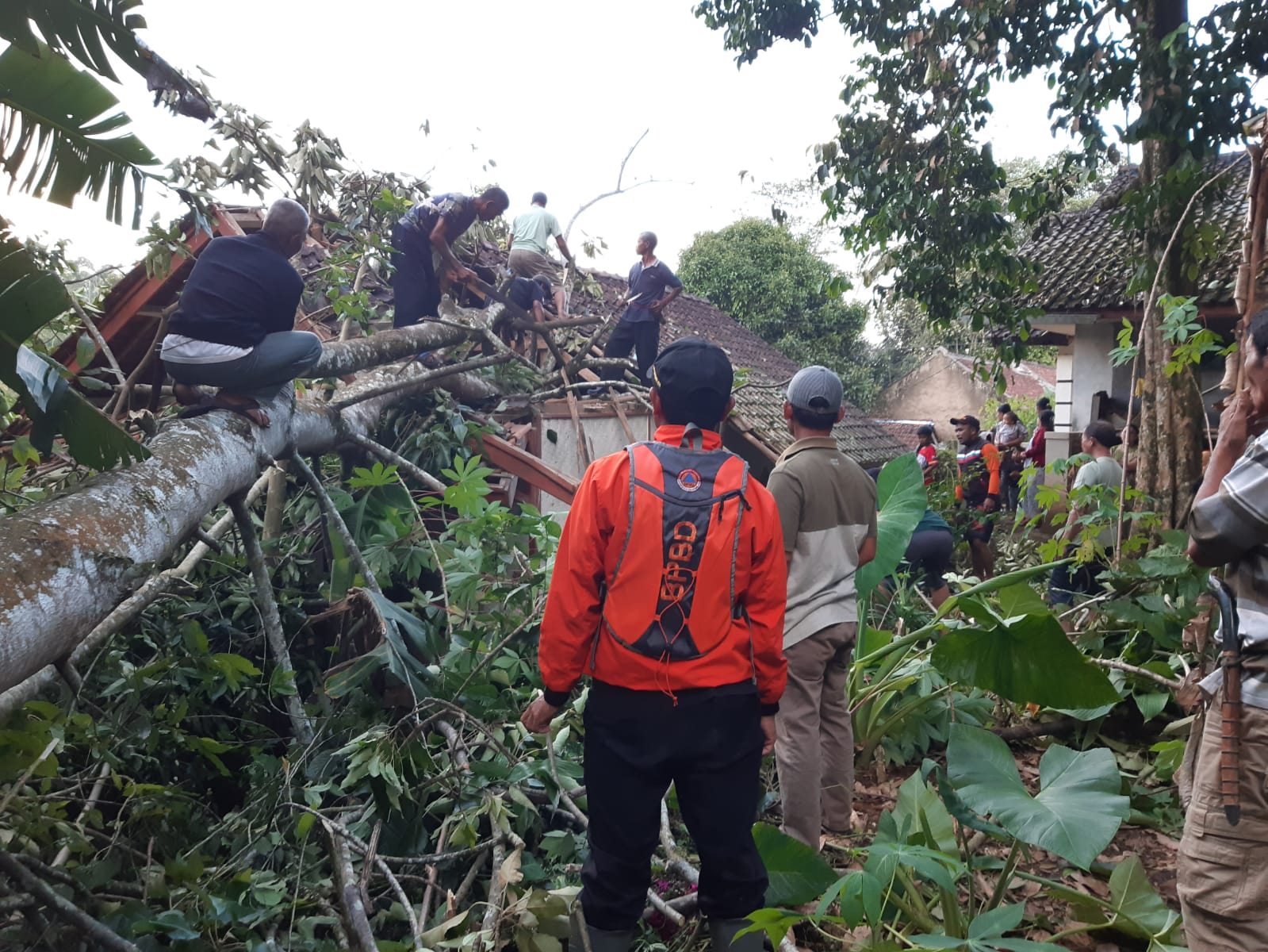 Rumah Tertimpa Pohon di Salawu Kabupaten Tasikmalaya