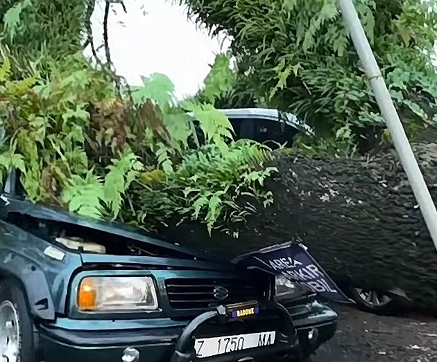 Cuaca Ekstrem di Tasikmalaya Pohon Tumbang di Sejumlah Titik